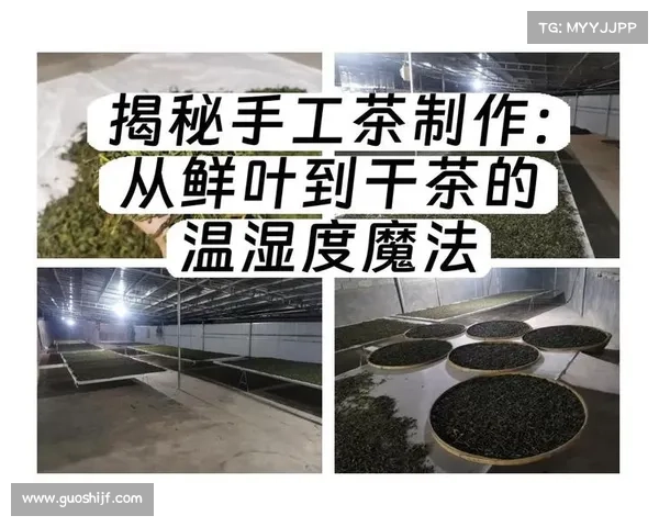 探秘广东英超陶瓷的手工制作艺术与工艺流程揭秘 探秘广东英超陶瓷的手工制作艺术与工艺流程揭秘